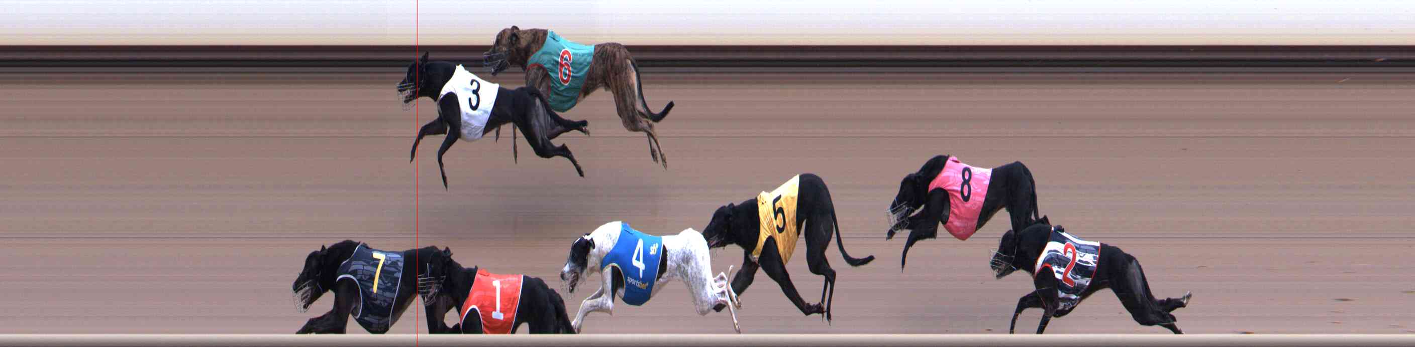 Race result finish photo